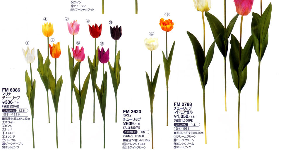 専用ページ　TULIP様 Tulip Double Columbus - 50 Stem Bunch - PetalDriven